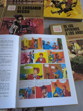 Colección de libros clásicos juveniles (11 tomos)