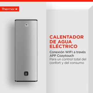 Calentador de agua eléctrico Thermor de 50 litros