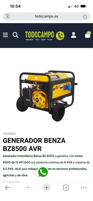 Generador Benza BZ8500 AVR