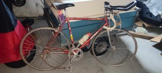 Bicicleta Orbea Clásica Años 80