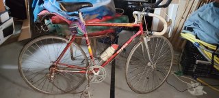 Bicicleta Orbea Clásica Años 80