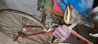 Bicicleta Orbea Clásica Años 80