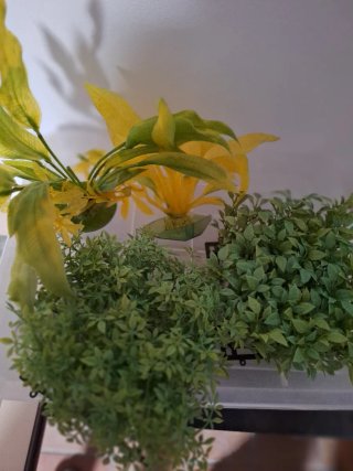 2 peceras con mueble y complementos