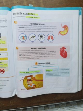 Biología y Geología I, ESO, Secundaria, De otra...