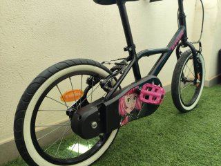 Bicicleta niña 16 pulgadas