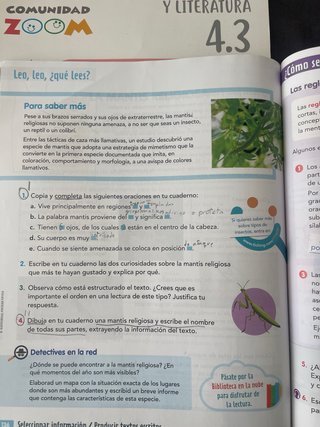 Lengua Castellana y Literatura 4, Educación Pri...