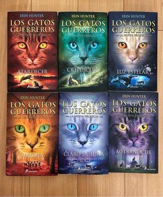 Los gatos guerreros