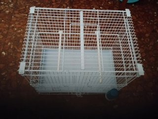 Jaula grande para pájaros, 40cm