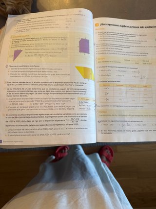 Matemáticas 3 secundaria Revuela