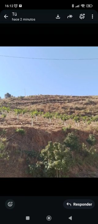 Terreno en venta