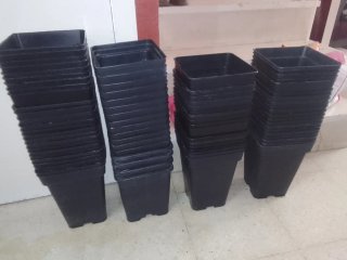 Kit cultivo interior: con accesorios