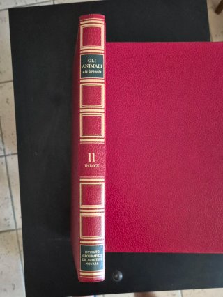 Gli Animali e la loro vita. DeA (Collez. Compl.)