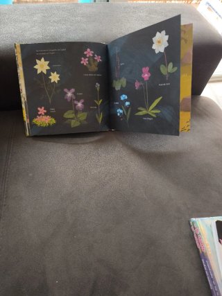 Libro