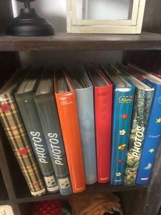 Lote de álbumes de fotos