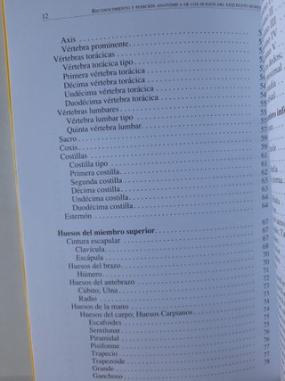 Reconocimiento y posición anatómica de los hues...