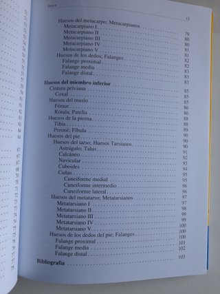 Reconocimiento y posición anatómica de los hues...