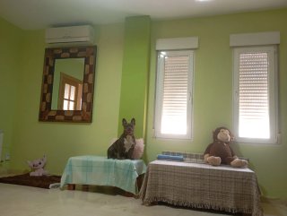 Guardería Canina