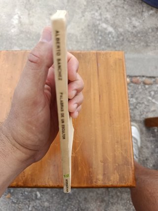 Palabras de un escultor