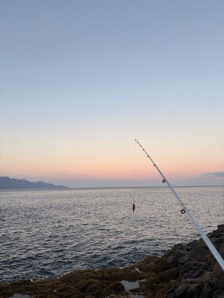 Caña de pescar Rockfish