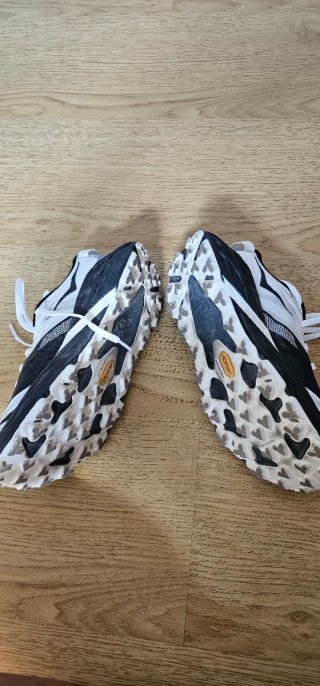 Hoka Speedgoat 7 mujer