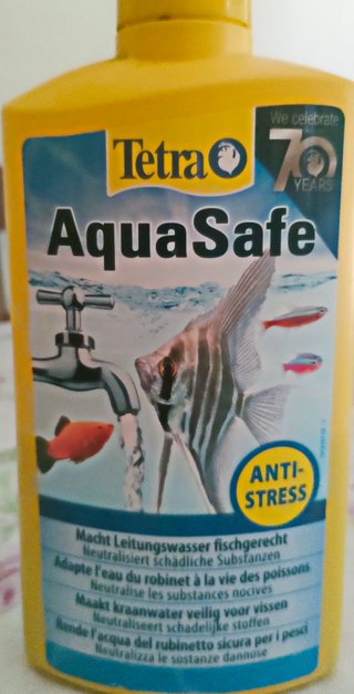 Acuario con accesorios