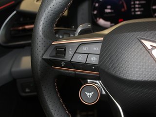 CUPRA Terramar 1.5 eTSI 150CV DSG