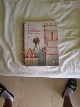 Lengua castellana y literatura, 1 Bachillerato,...
