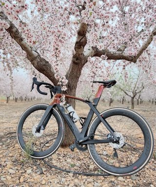 Bicicleta Carretera Trek Madone SLR6