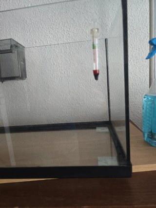 Urna acuario con depuradora