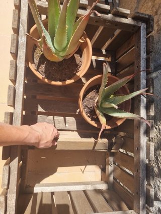 Jardineras de madera 20€ unidad