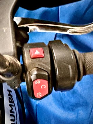 Triumph Tiger 900 Accidente