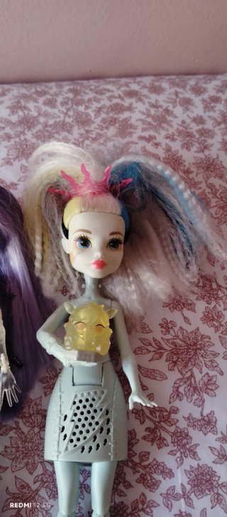 Conjunto di bambole Monster High