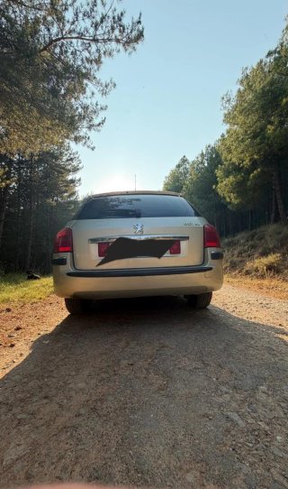 Peugeot 407 2005