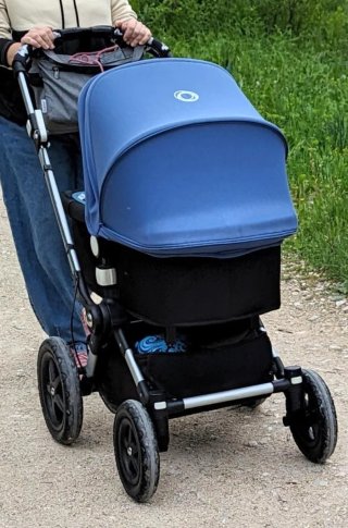 Carrito Bugaboo Camaleón 3