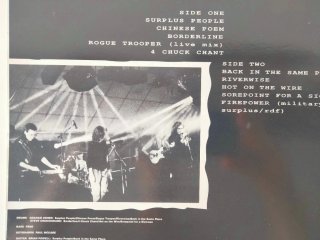 Radical Dance Faction - Borderline Cases LP