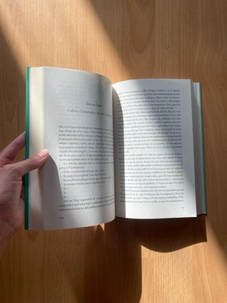 Libro “Les decisions de l'Anna”