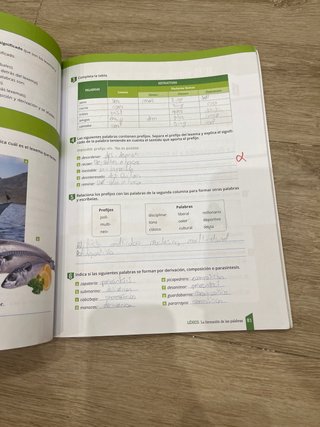 Lengua castellana y literatura, 2 ESO, refuerzo...