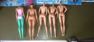 Lote 5 Barbies sin cabeza. Cuerpos. Buen estado