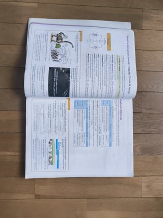 Libro Lengua Castellana y literatura 2 ESO SM