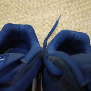 Zapatillas Nike Azul y Gris