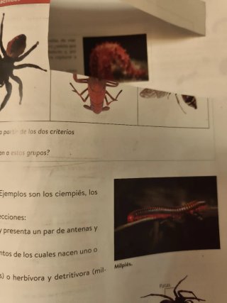Biología y Geología 1º ESO. Libro del estudiant...