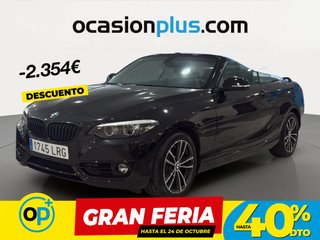 BMW Serie 2 218i Cabrio 100 kW (136 CV)