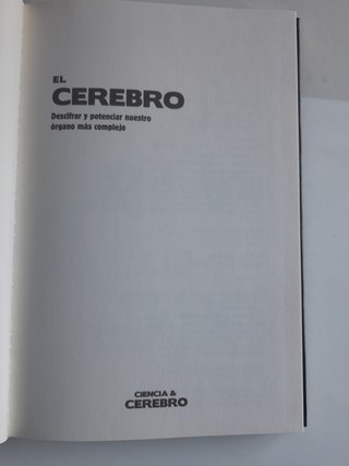 El cerebro descifrar y potenciar nuestro organo ma