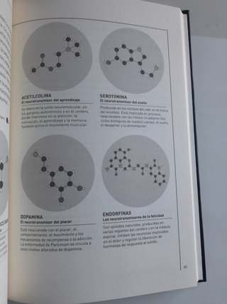 El cerebro descifrar y potenciar nuestro organo ma
