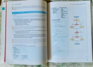 Libro informatica e impresa
