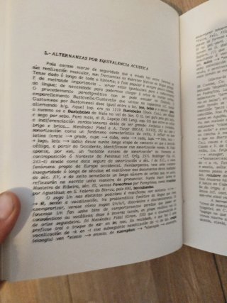 Lingua galega. Historia e fenomenoloxia