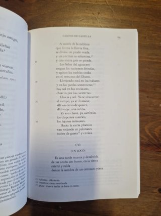 Poesía