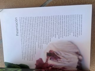 GRAN LIBRO DE LAS ENSALADAS *** SERVILIBRO ***