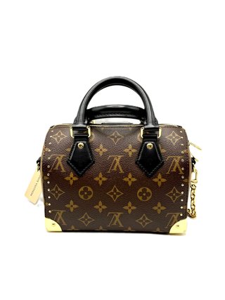 Bolso Louis Vuitton Speedy 20 Trunk
