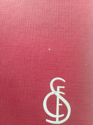 Pañuelo Seda  SFC Original